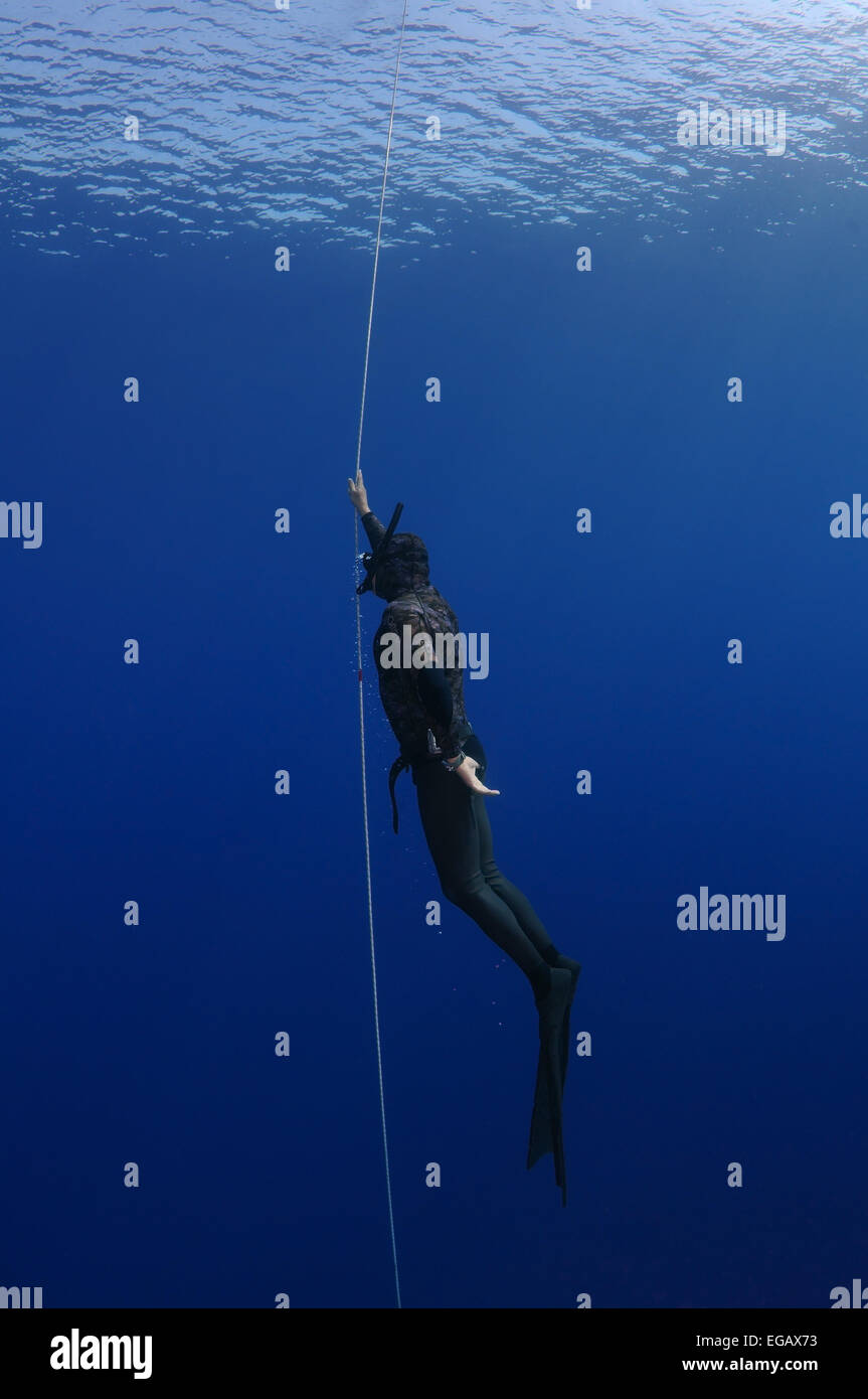 Freitauchen Tauchen Stockfotos und -bilder Kaufen - Alamy