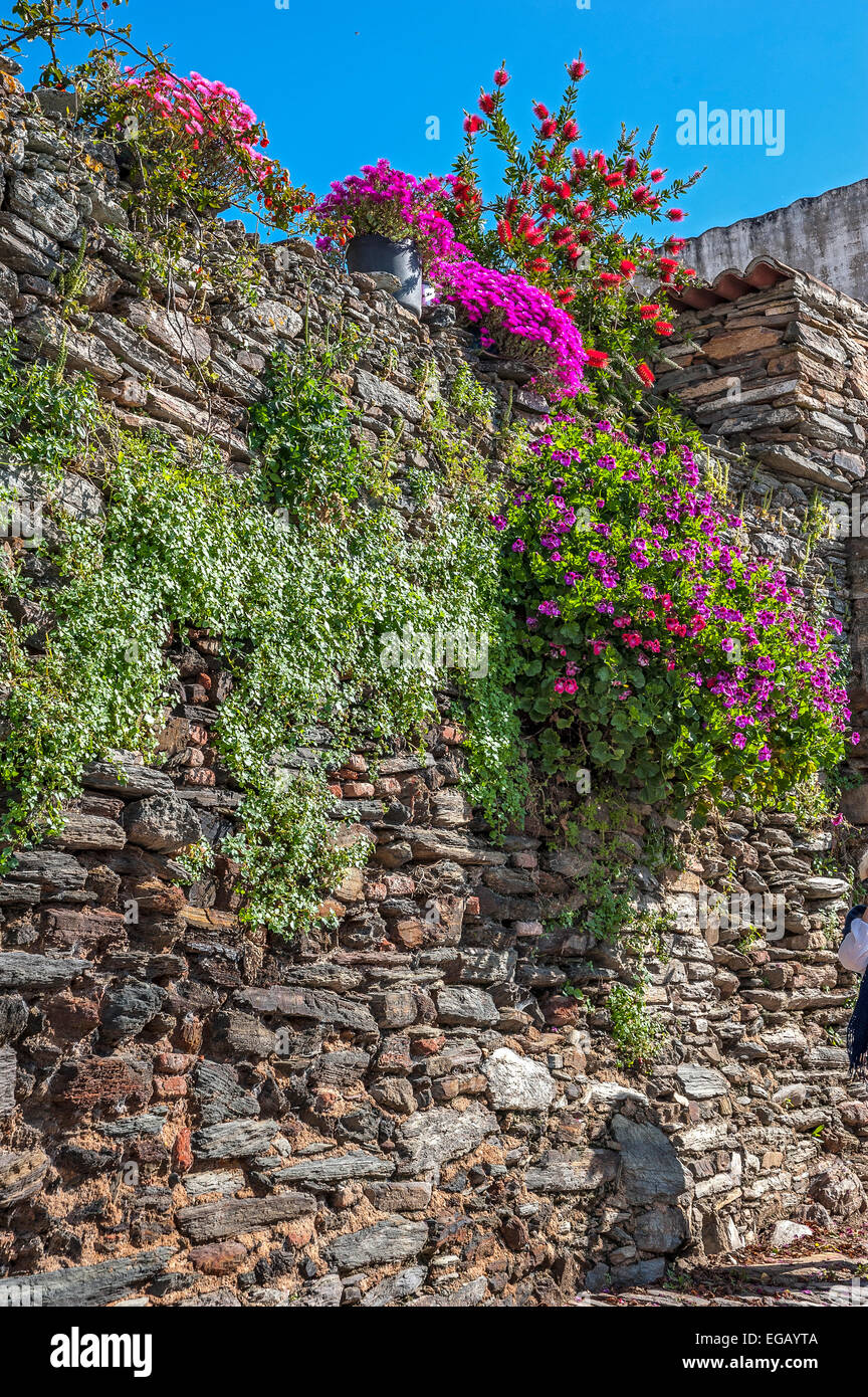 Portugal, Monsaraz. Mittelalterlichen Mauern von Gebäuden und Zäunen, Rohstein, gesäumt mit Wildblumen überwuchert. Stockfoto