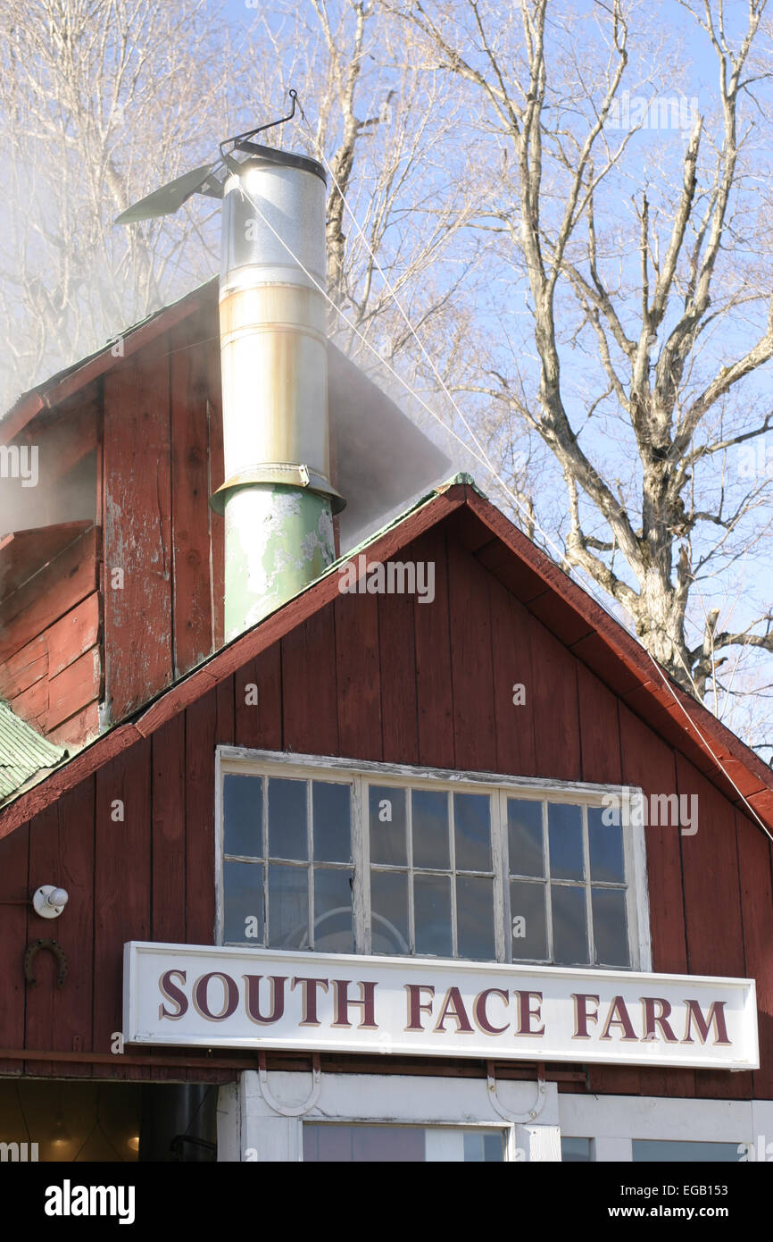 Ein New England Zuckerahorn Unternehmen hat ein Restaurant, sowie den Zucker mit hoch Edelstahl Rauch Stack zu vergießen. Stockfoto