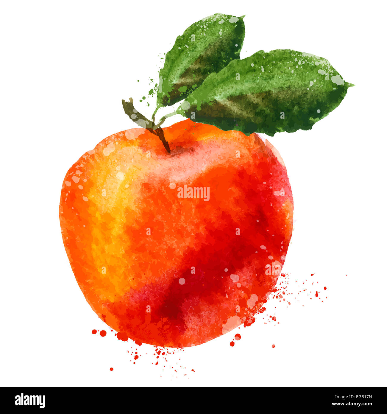 Aquarell. Obst auf weißem Hintergrund. Vektor-illustration Stockfoto