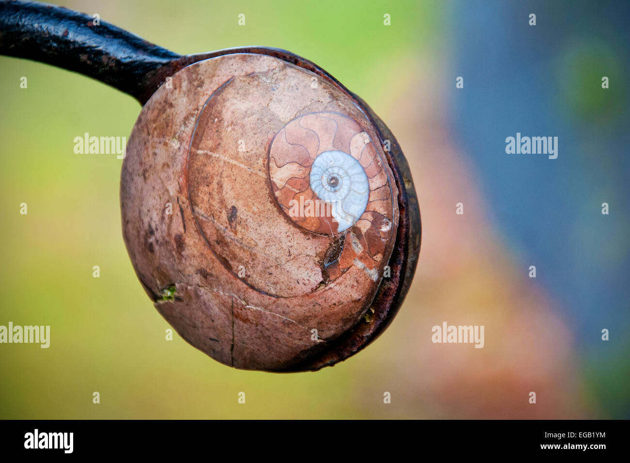 Schnecke Muschel Tor Riegel im Garten des kosmischen Spekulation in Dumfries Schottland. Stockfoto