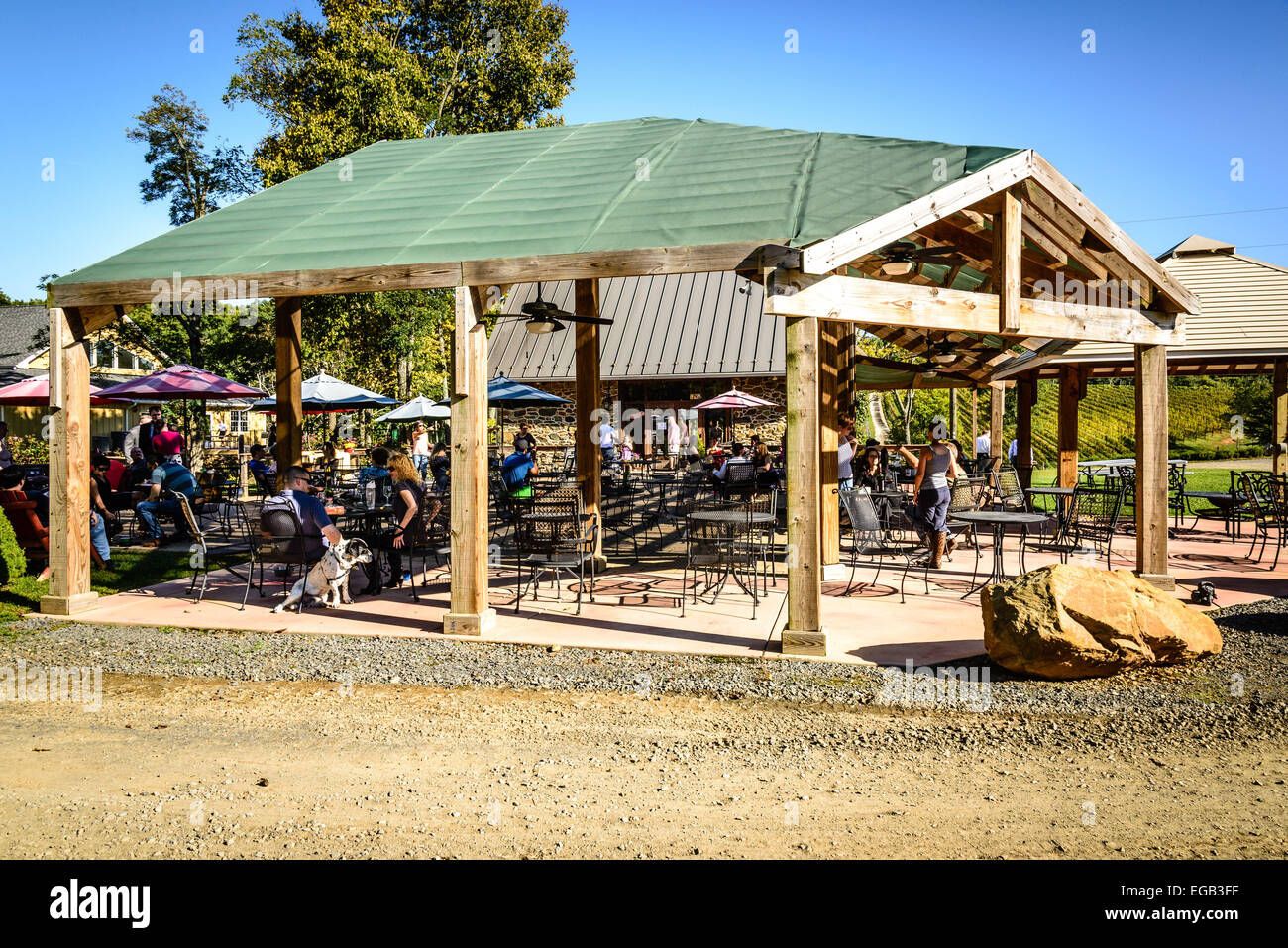 Casanel Weinberge, 17956 Canby Road, Leesburg, Virginia Stockfoto