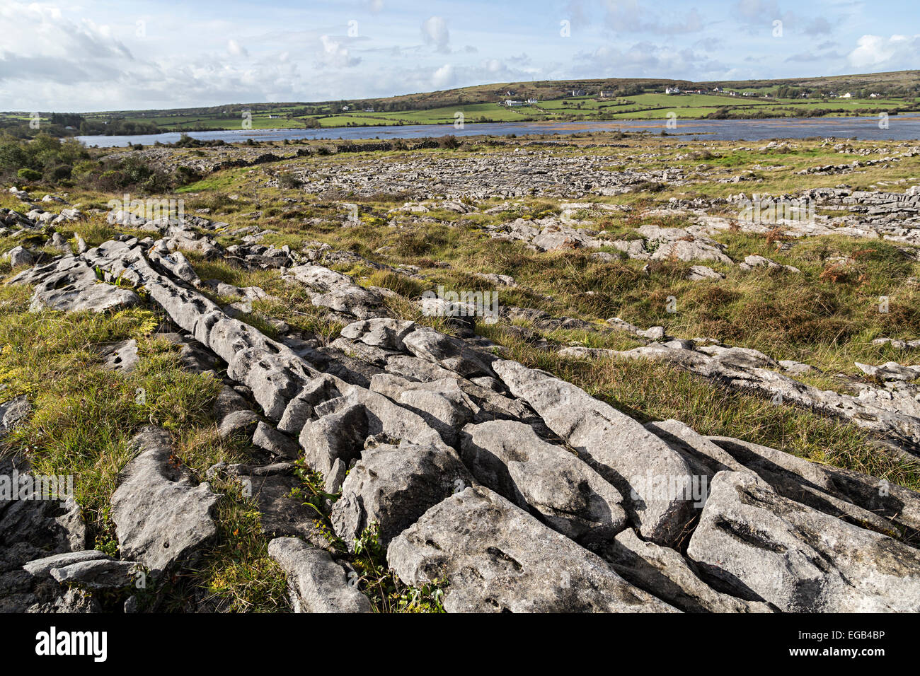 Kalkstein Pflaster in Carron, the Burren, Co. Clare, Irland Stockfoto