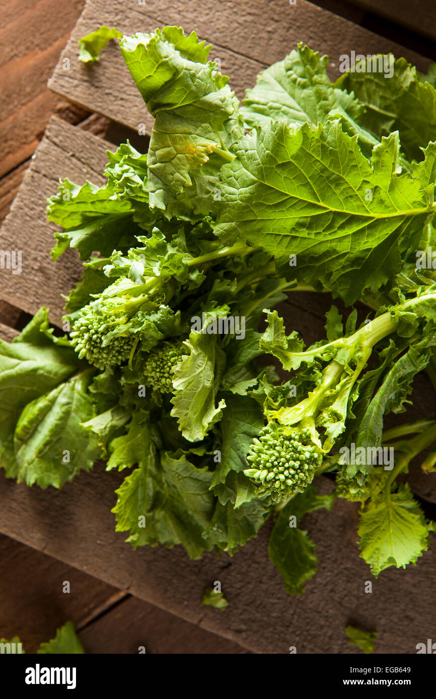 Bio rohen grünen Brokkoli Rabe Rapini auf einem Hintergrund Stockfoto