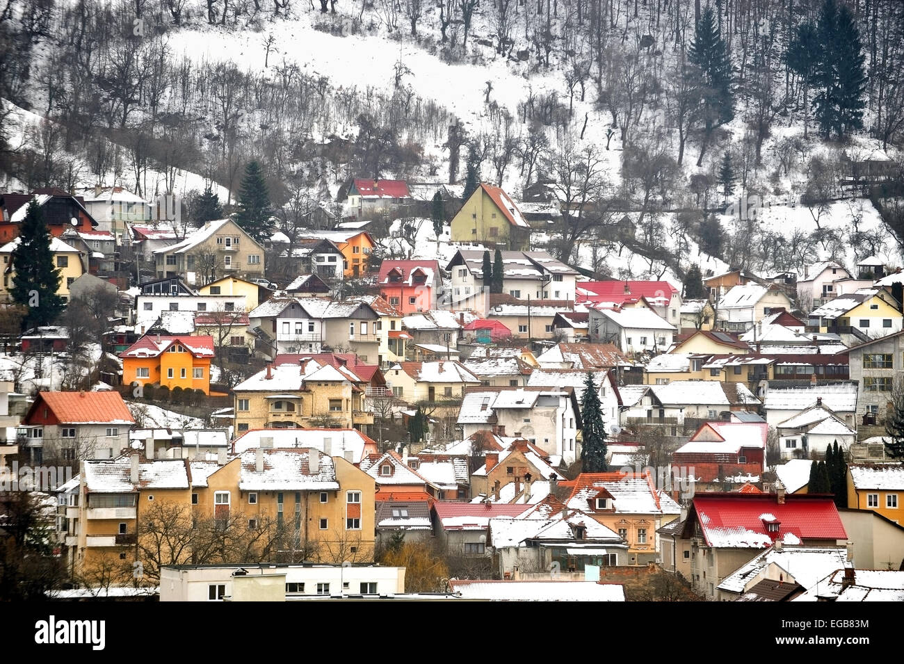 Winter Tag Stadtlandschaft mit alten Häusern im Schnee in der Nähe von einem Wald bedeckt Stockfoto