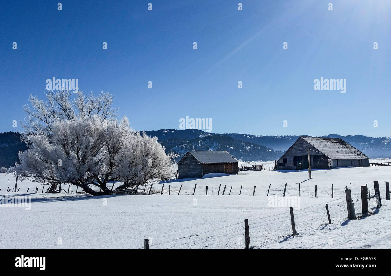 Winter-Szene eines Bauernhofs in Zentral-Idaho. Stockfoto