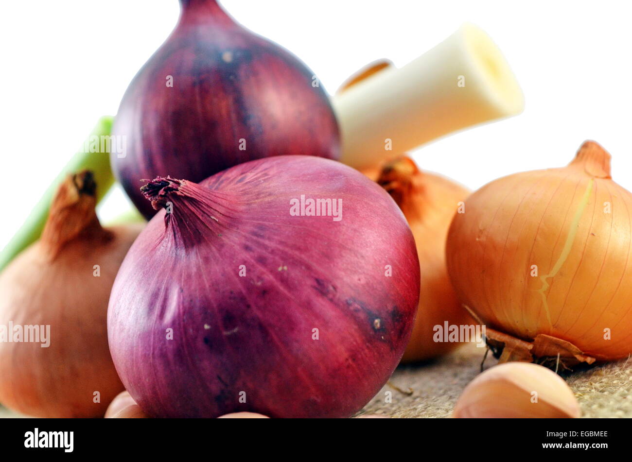 Zwiebel, Knoblauch und Lauch isoliert auf weißem Hintergrund Stockfoto