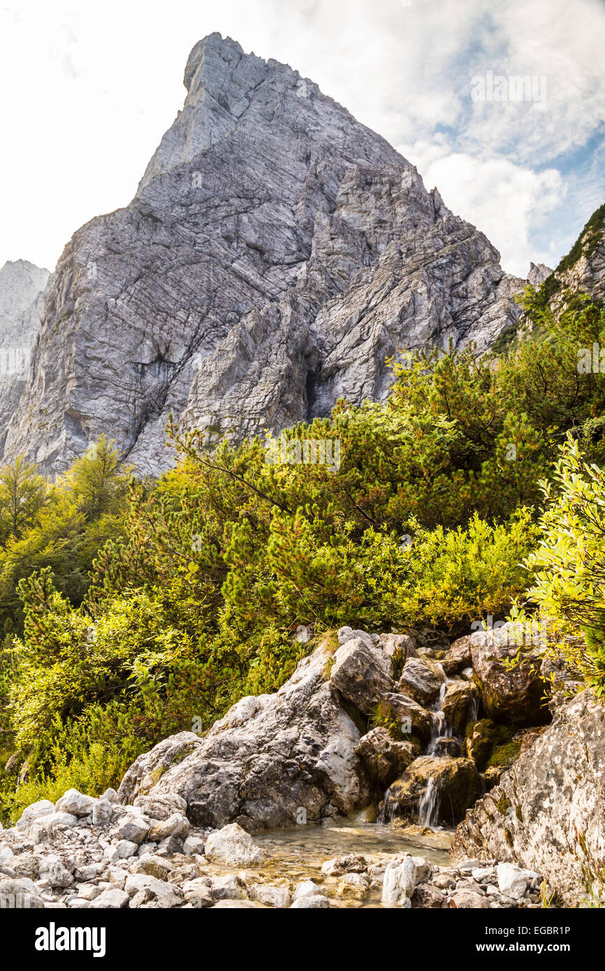 ein kleiner Bach zwischen den Steinen Stockfotografie Alamy
