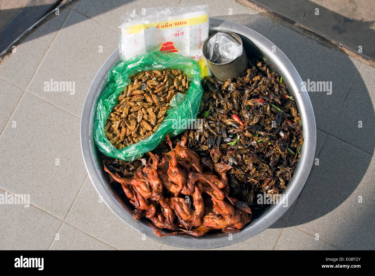 Ein Tablett mit Insekten, Würmer und Kakerlaken einschließlich ruht auf einer Benzin-Pumpe-Insel an einer Tankstelle in Kampong Cham, Kambodscha. Stockfoto