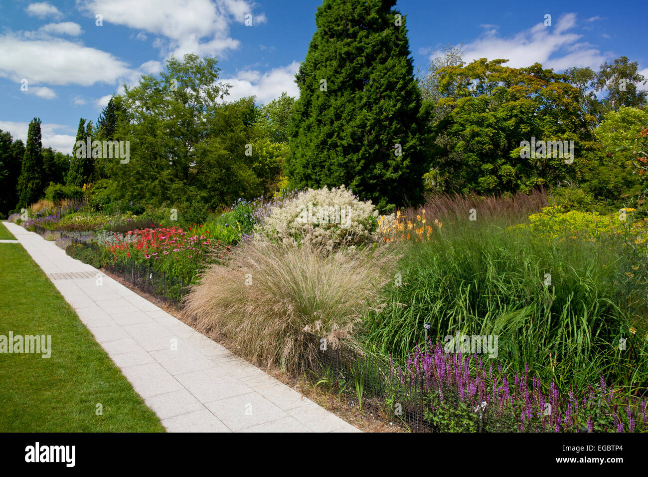 Sommer Farbe in der Centenary Grenze bei Sir Harold Hillier Gardens, Romsey, Hampshire, England, UK Stockfoto
