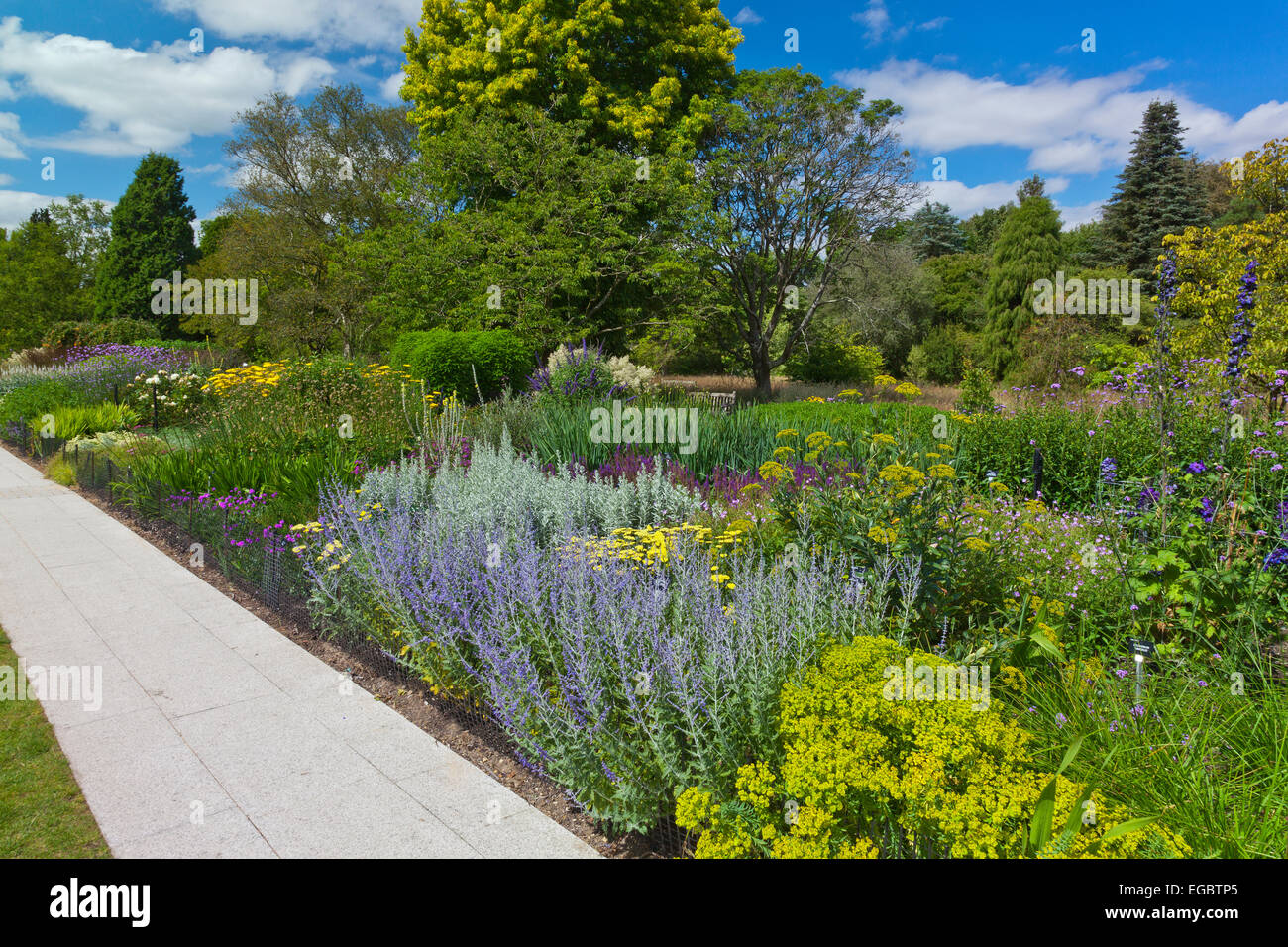 Sommer Farbe in der Centenary Grenze bei Sir Harold Hillier Gardens, Romsey, Hampshire, England, UK Stockfoto