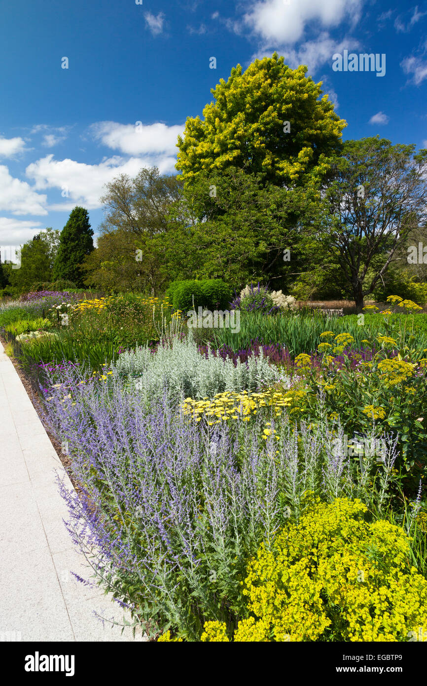 Sommer Farbe in der Centenary Grenze bei Sir Harold Hillier Gardens, Romsey, Hampshire, England, UK Stockfoto