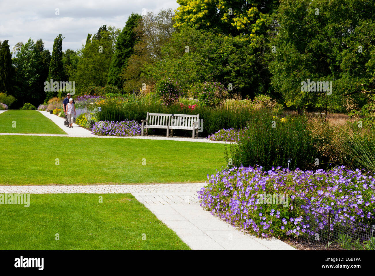 Sommer Farbe in der Centenary Grenze bei Sir Harold Hillier Gardens, Romsey, Hampshire, England, UK Stockfoto