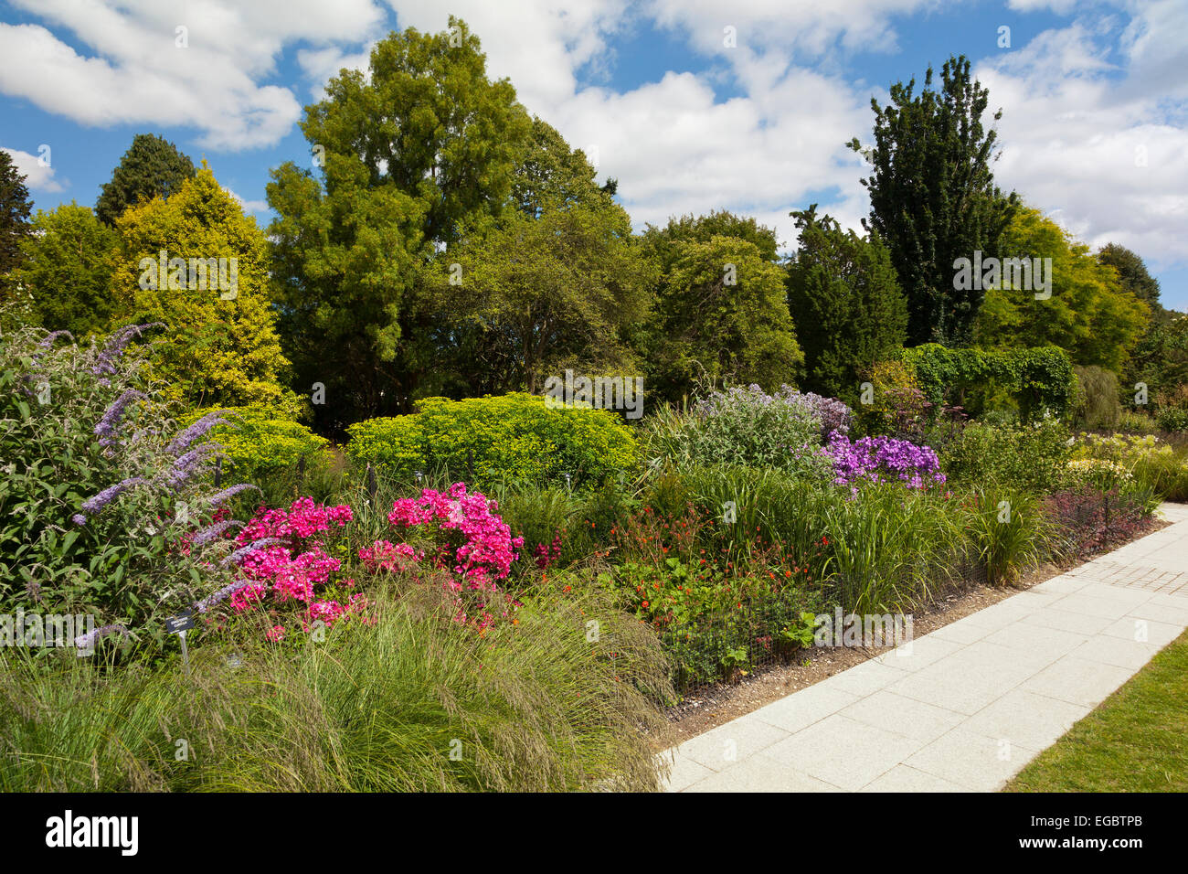 Sommer Farbe in der Centenary Grenze bei Sir Harold Hillier Gardens, Romsey, Hampshire, England, UK Stockfoto