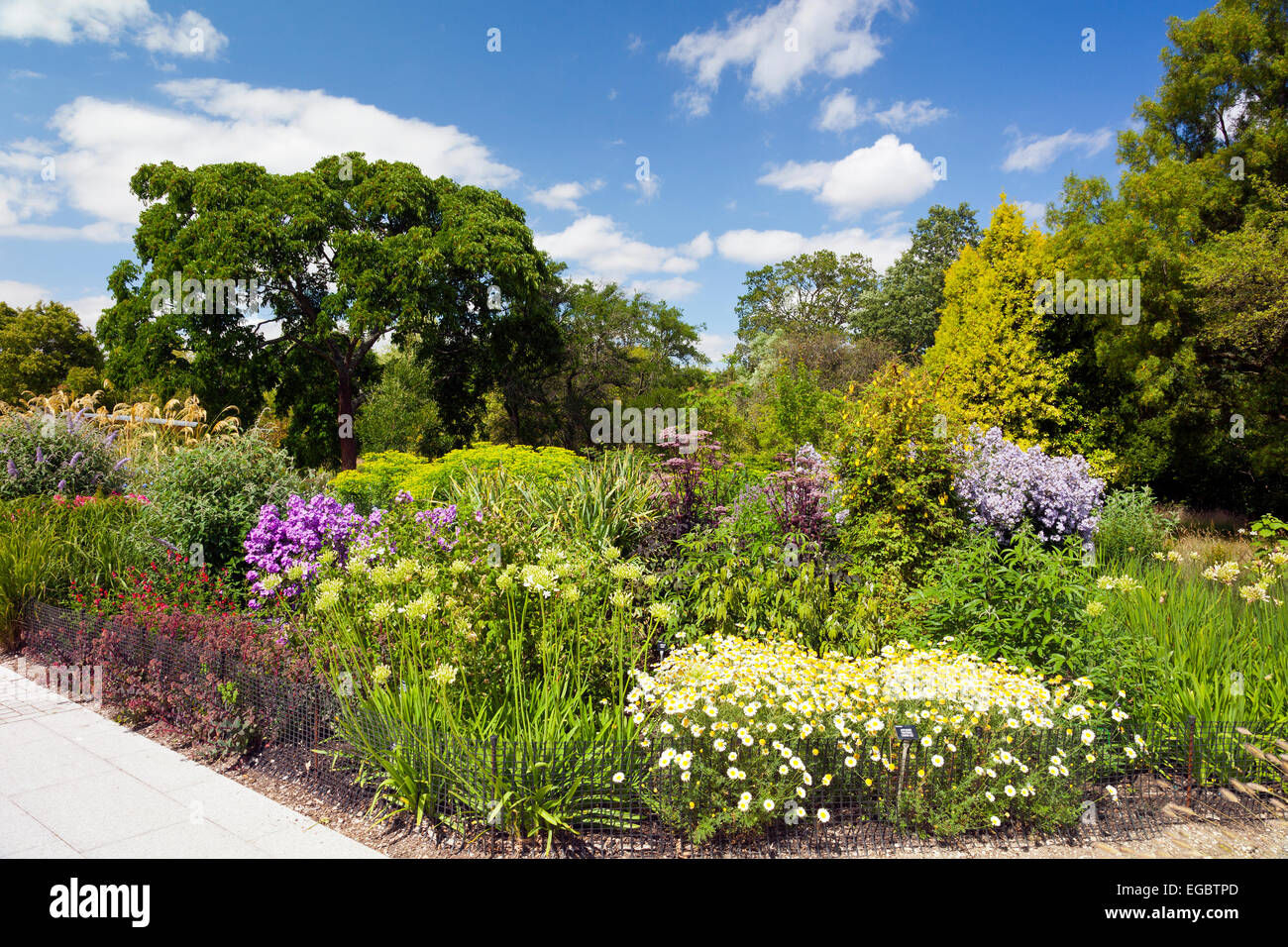 Sommer Farbe in der Centenary Grenze bei Sir Harold Hillier Gardens, Romsey, Hampshire, England, UK Stockfoto