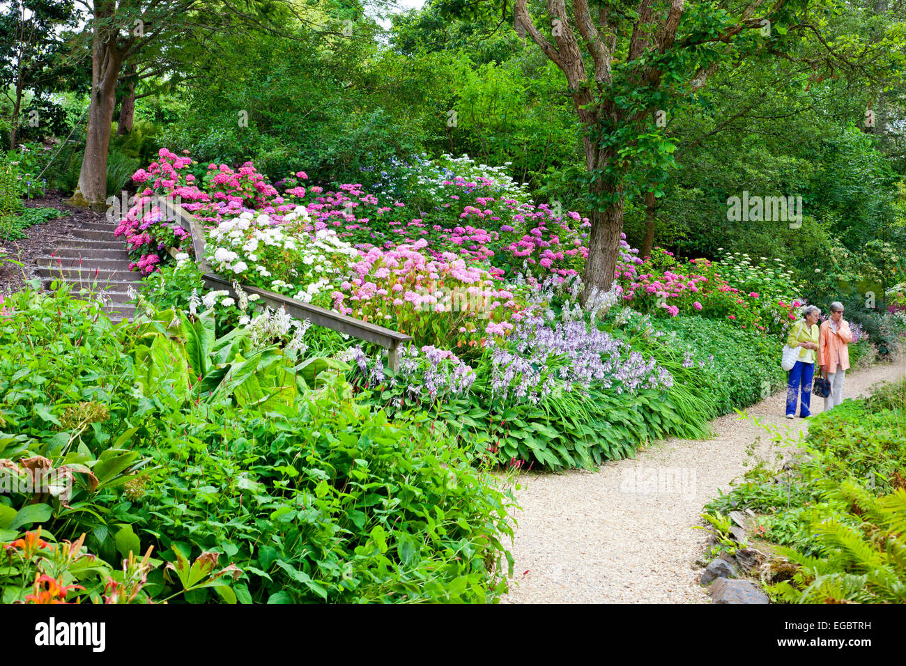 Sommer Farbe in das Himalaya-Tal an der Sir Harold Hillier Gardens, Romsey, Hampshire, England, UK Stockfoto