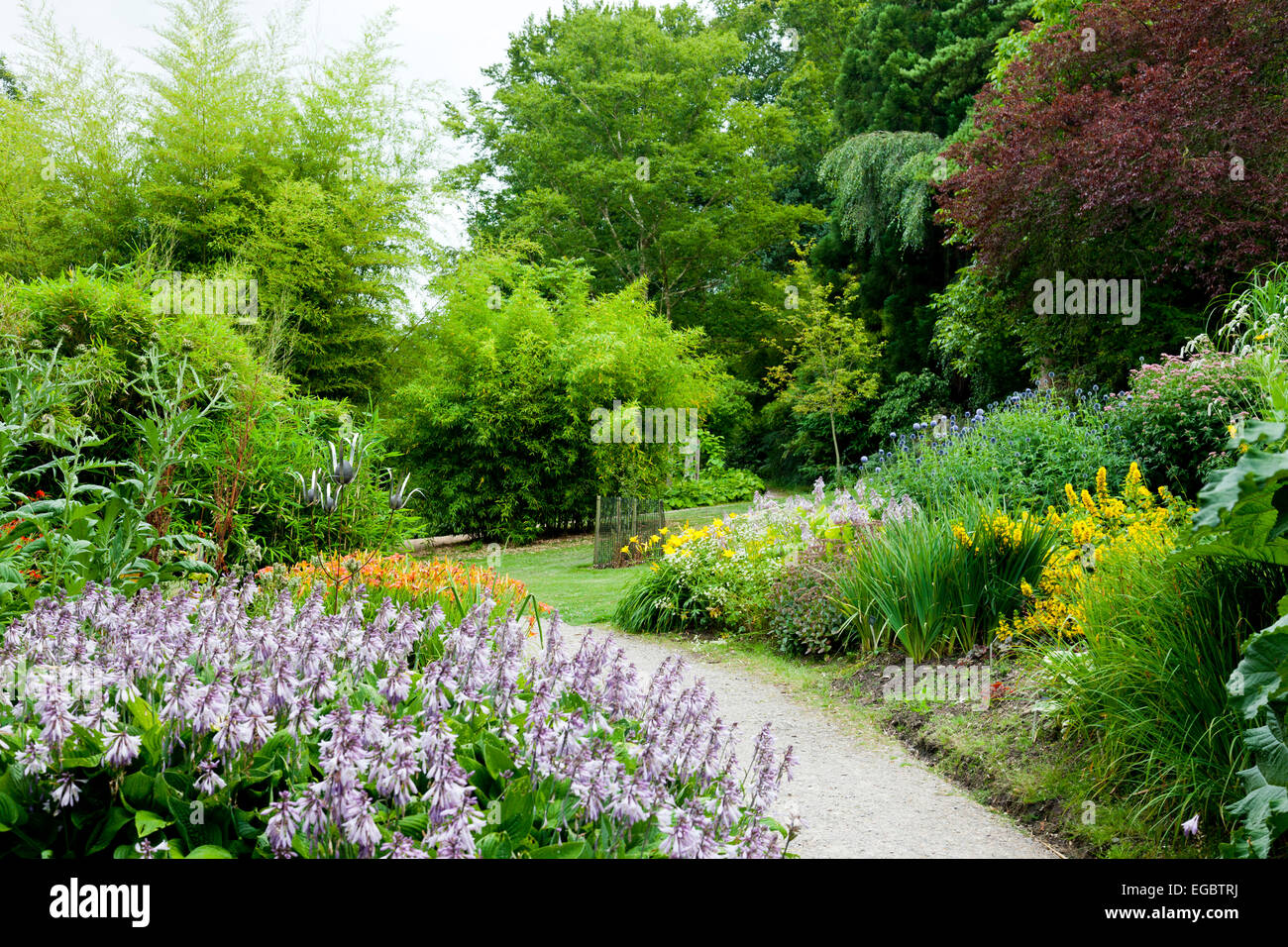 Sommer Farbe in den Sir Harold Hillier Gardens, Romsey, Hampshire, England, UK Stockfoto