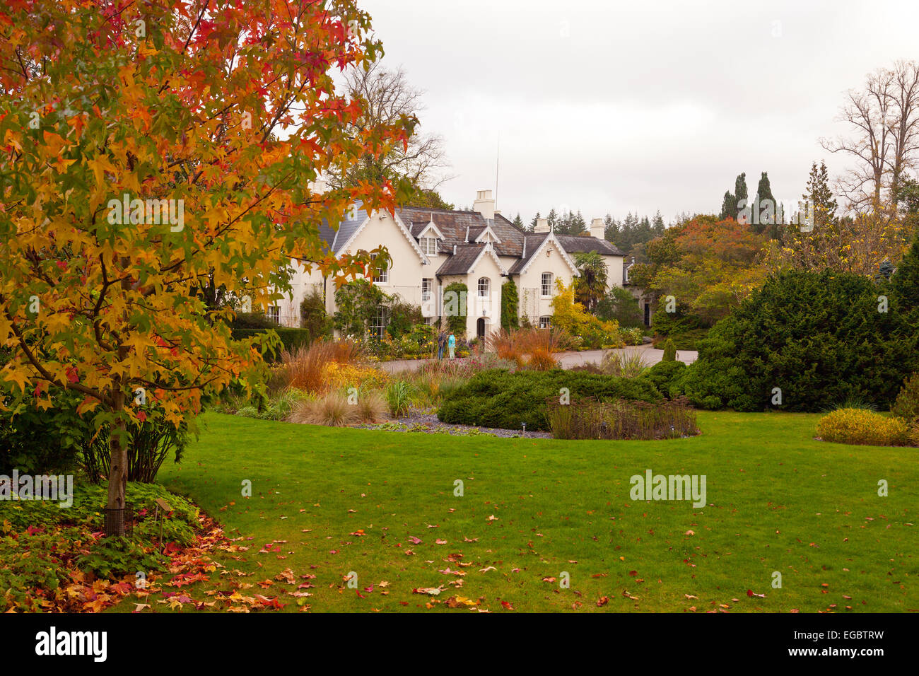 Herbstfärbung um Jermyns Haus an Sir Harold Hillier Gardens, Romsey, Hampshire, England, UK Stockfoto