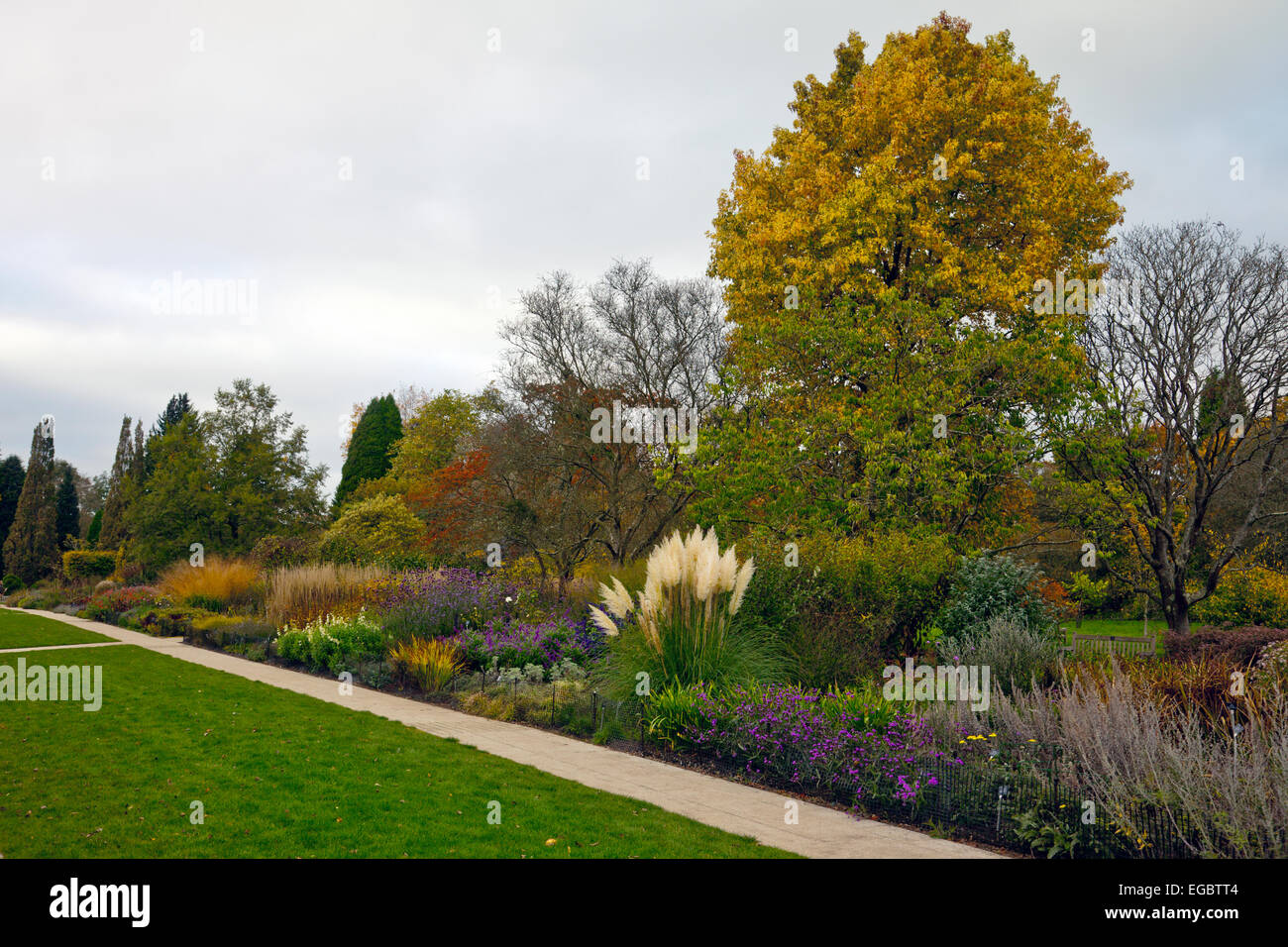 Herbstfärbung in der Centenary Grenze bei Sir Harold Hillier Gardens, Romsey, Hampshire, England, UK Stockfoto