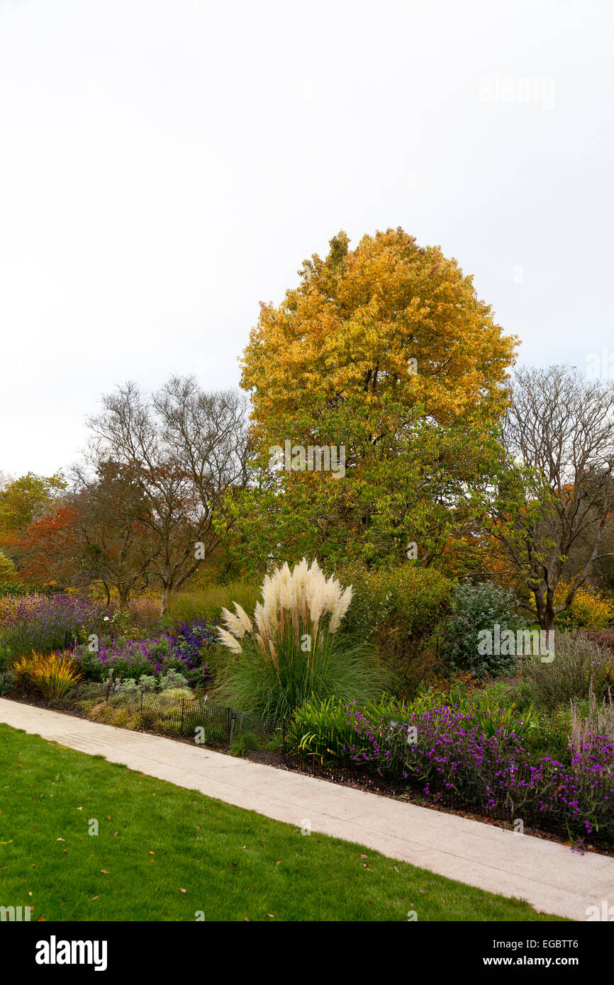 Herbstfärbung in der Centenary Grenze bei Sir Harold Hillier Gardens, Romsey, Hampshire, England, UK Stockfoto