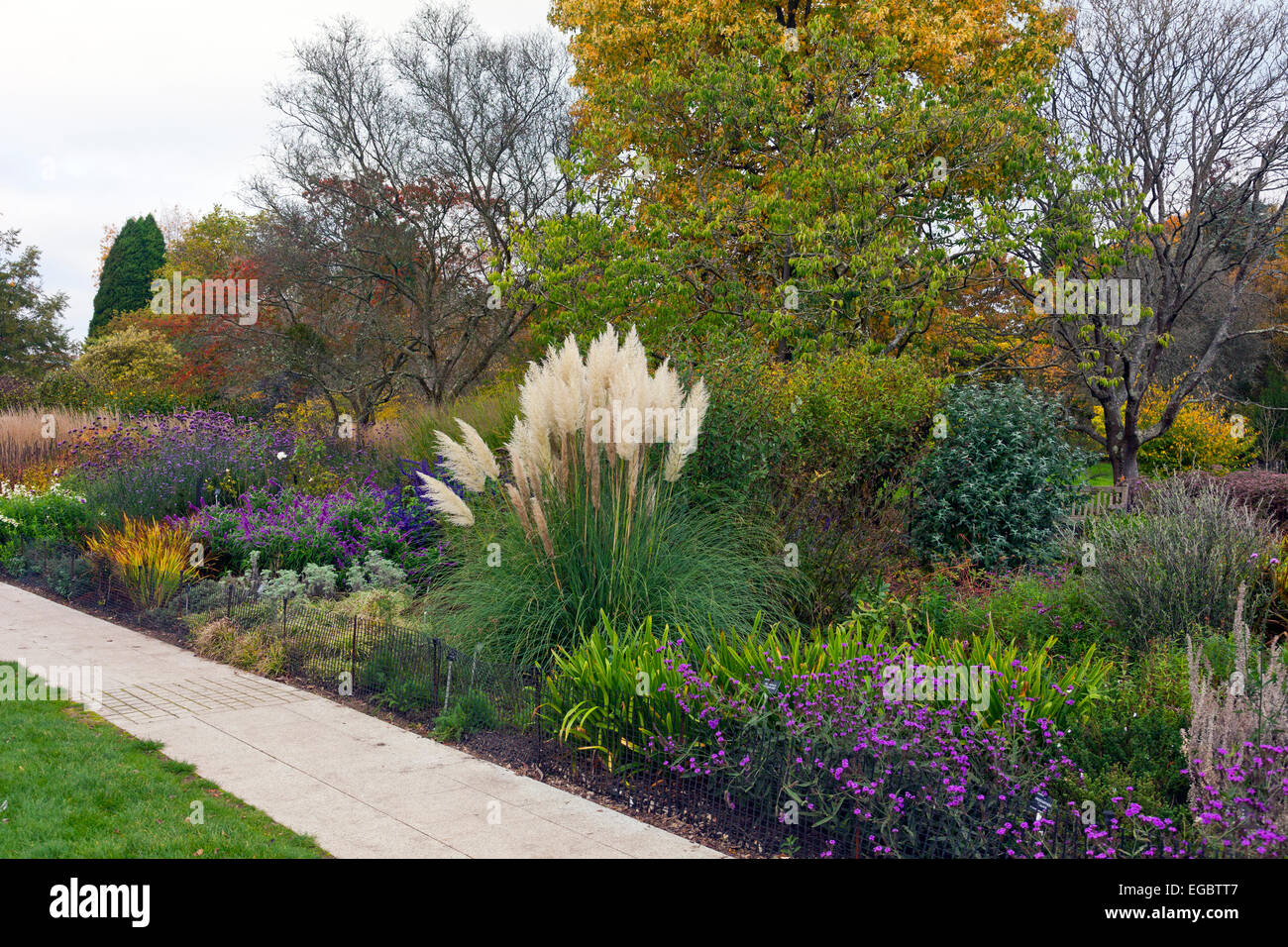 Herbstfärbung in der Centenary Grenze bei Sir Harold Hillier Gardens, Romsey, Hampshire, England, UK Stockfoto