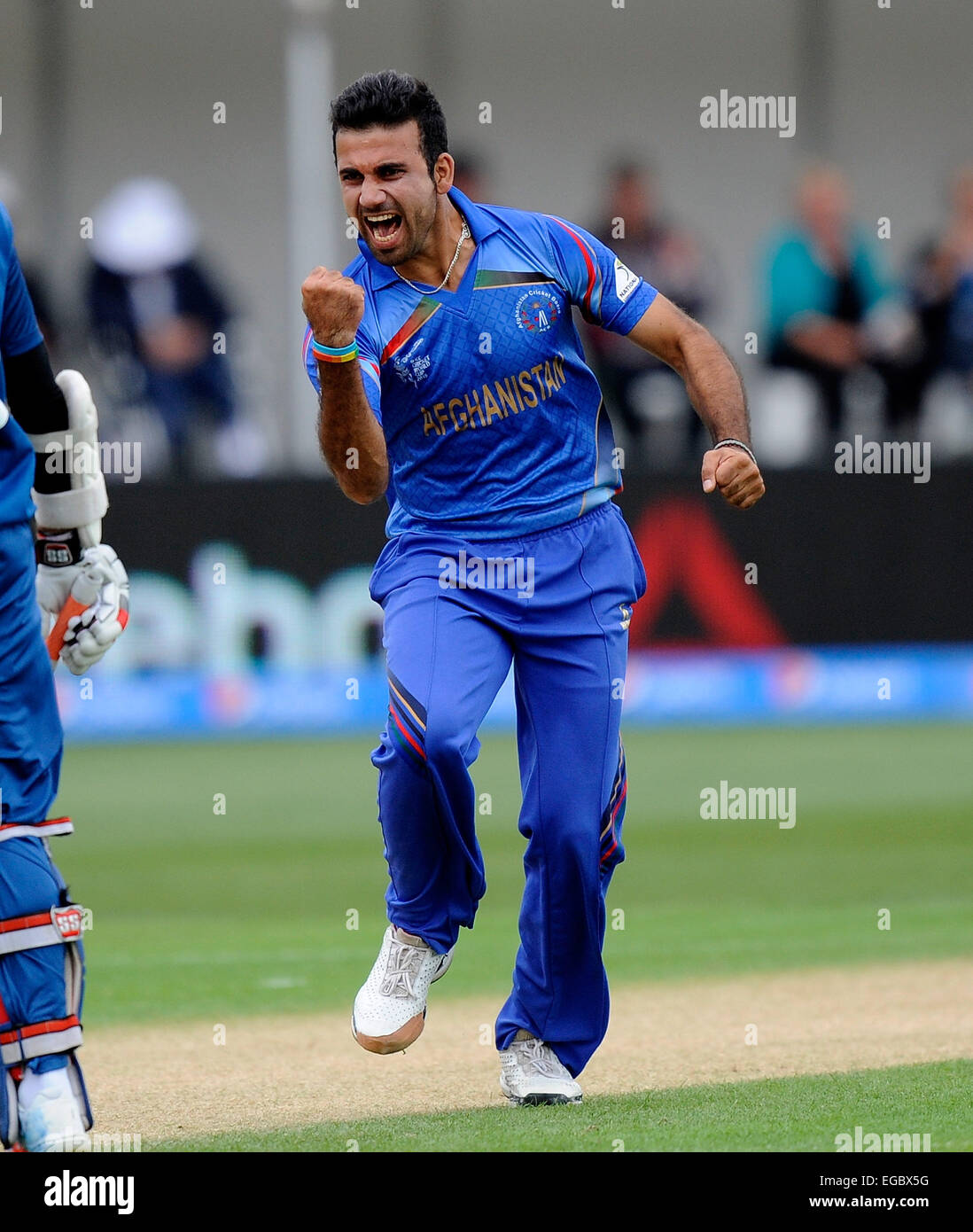 Dunedin, Neuseeland. 22. Februar 2015. Dawlat Zadran von Afganistan Celebates mit Team paart sich seine Pforte Lahiru Thrimanna während des ICC Cricket World Cup-Spiels zwischen Afghanistan und Sri Lanka bei Universität Oval in Dunedin, Neuseeland. Bildnachweis: Aktion Plus Sport/Alamy Live-Nachrichten Stockfoto