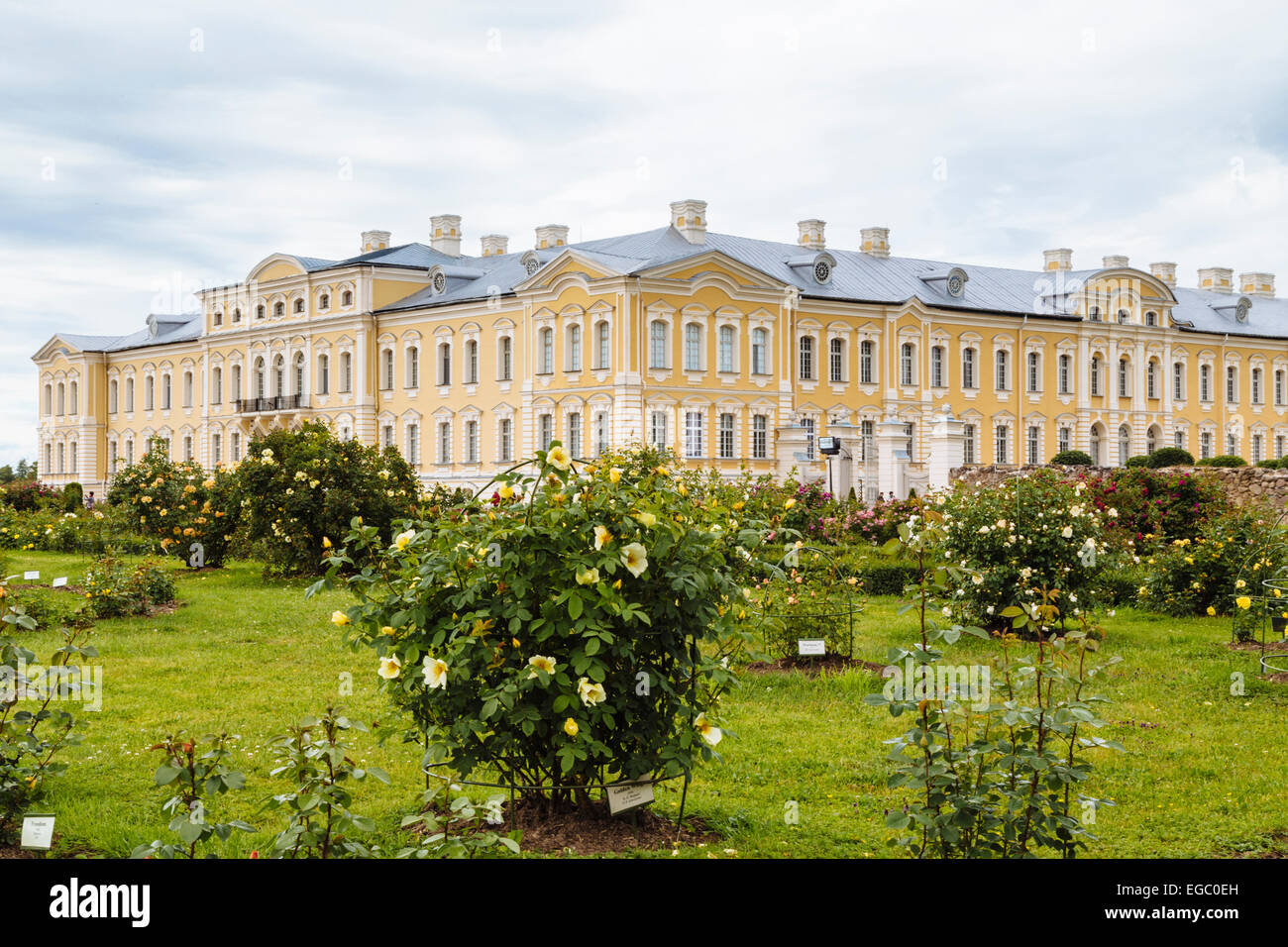 Rosengärten, Rundale Palace Museum und Park, Lettland Stockfoto