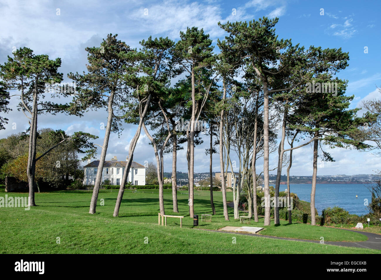 Wäldchen in Paignton mit Blick auf Torbay Stockfoto