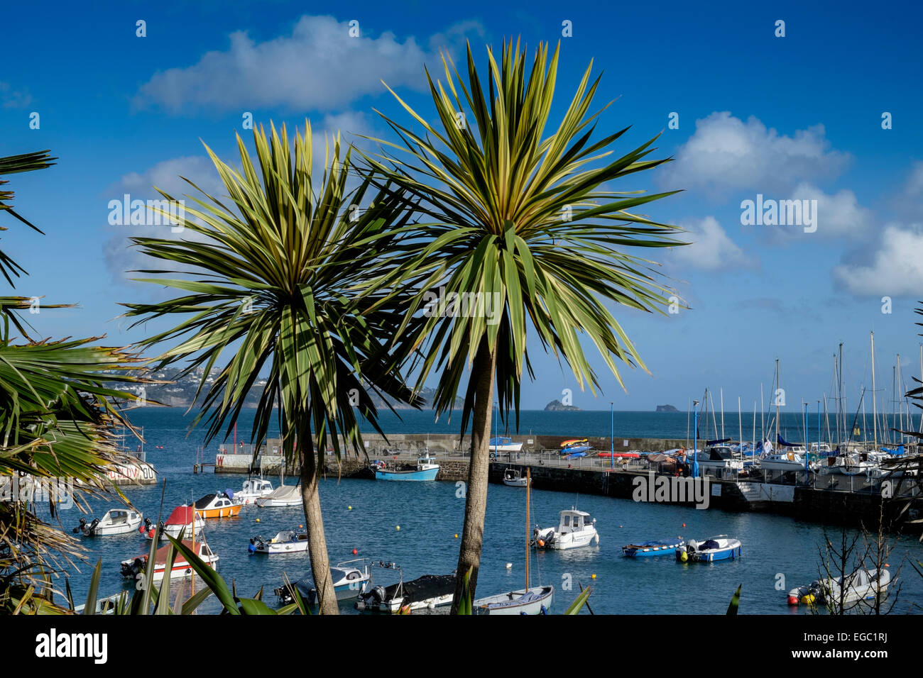 Paignton Hafen Stockfoto