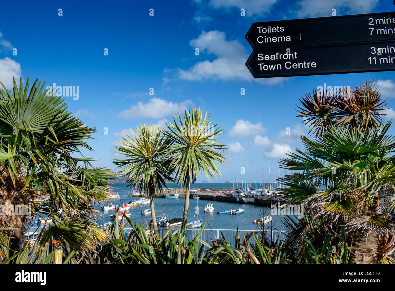 Paignton Hafen Stockfoto