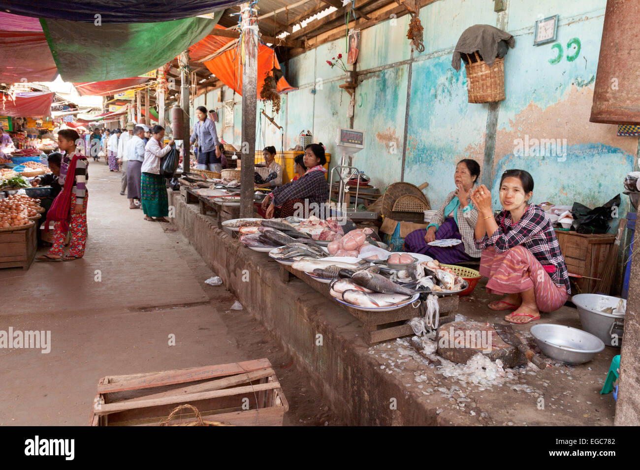 Der Fischmarkt, Mani Sithu Markt, Nyaung U Dorf, Bagan, Myanmar (Burma), Asien Stockfoto