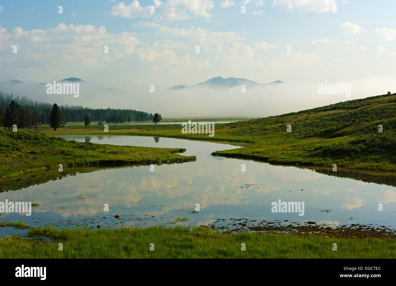 Ein Teich an einem nebligen Morgen in das Hayden Valley, Yellowstone-Nationalpark, Wyoming, Vereinigte Staaten. Stockfoto