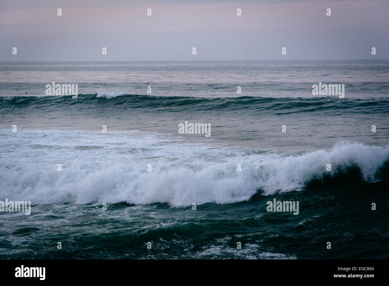 Große Wellen in den Pazifischen Ozean, gesehen in La Jolla, Kalifornien. Stockfoto