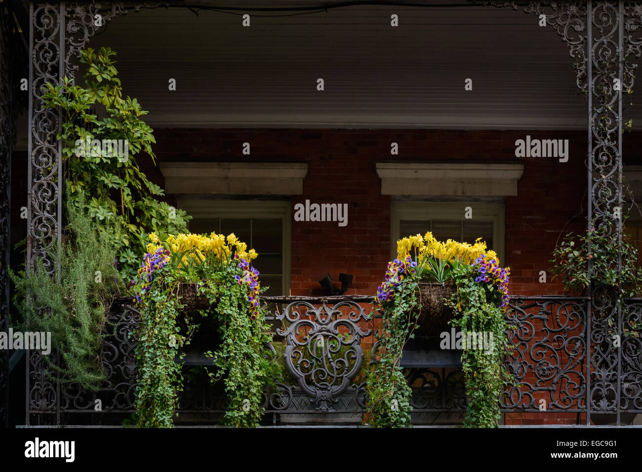 Schmiedeeiserne Geländer des Balkons im French Quarter von New Orleans, LA Stockfoto
