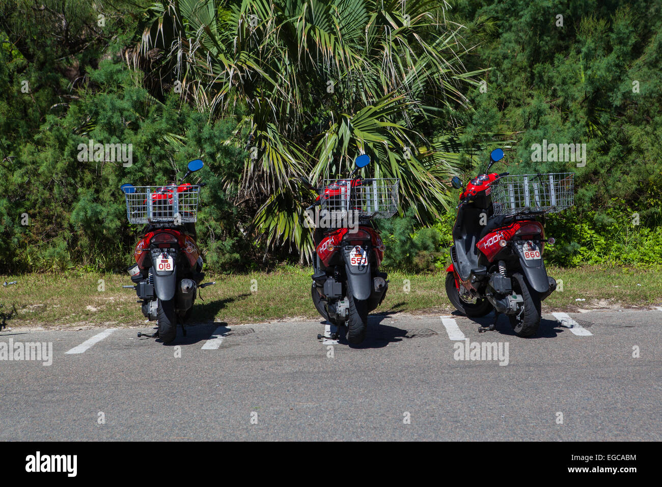 Vermietung Scooter geparkt in Bermuda Stockfoto