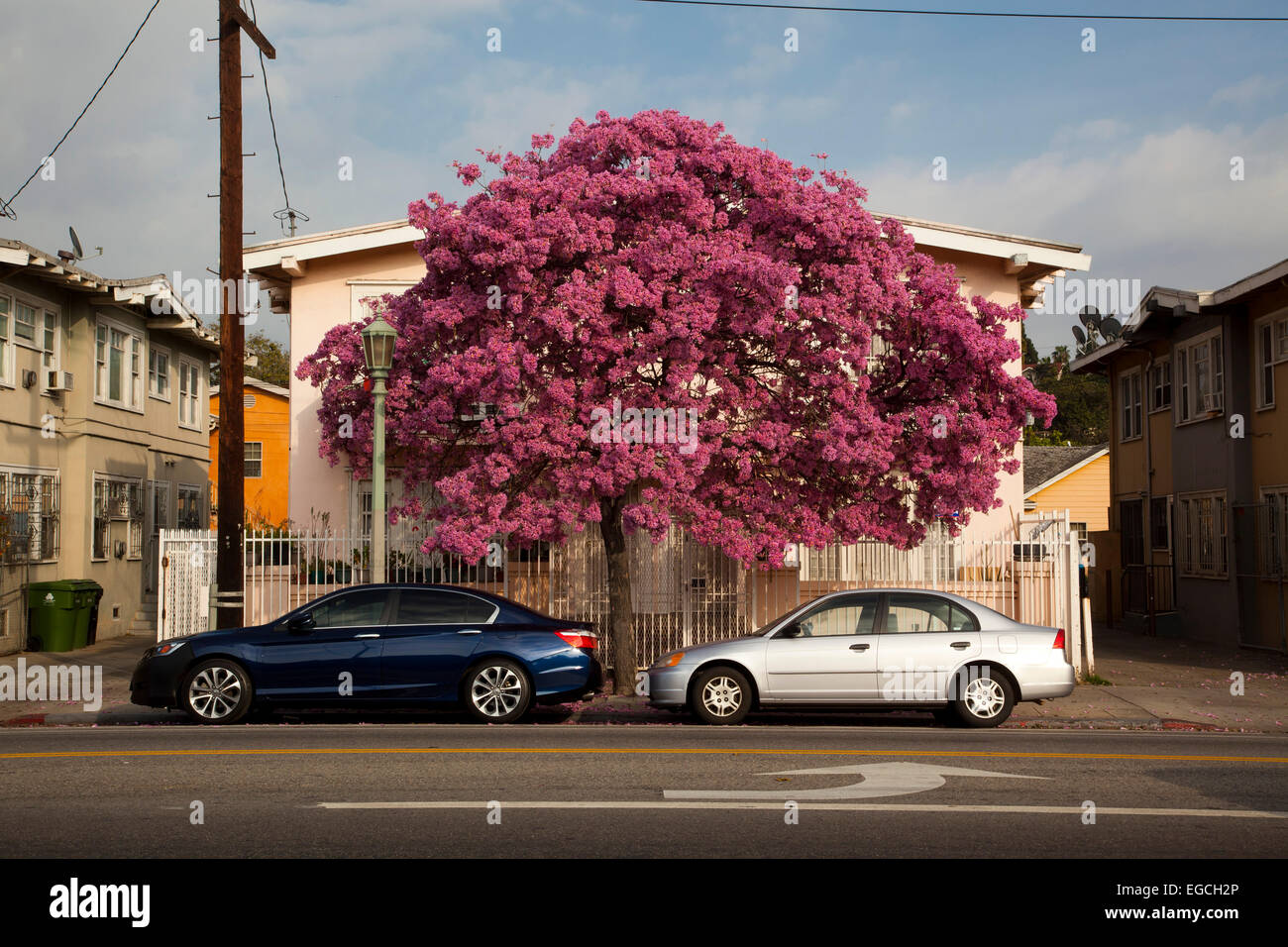 Virgil Ave., in der Nähe von Melrose Ave., Los Angeles, Kalifornien Stockfoto