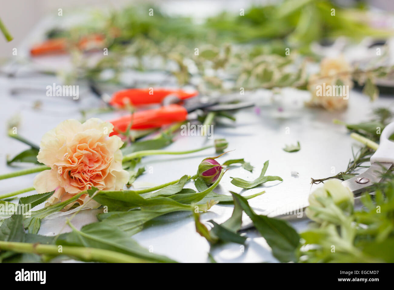 Blumengeschäft Arbeitsprozess. Konzeptionelle Foto. Workshop Stockfoto