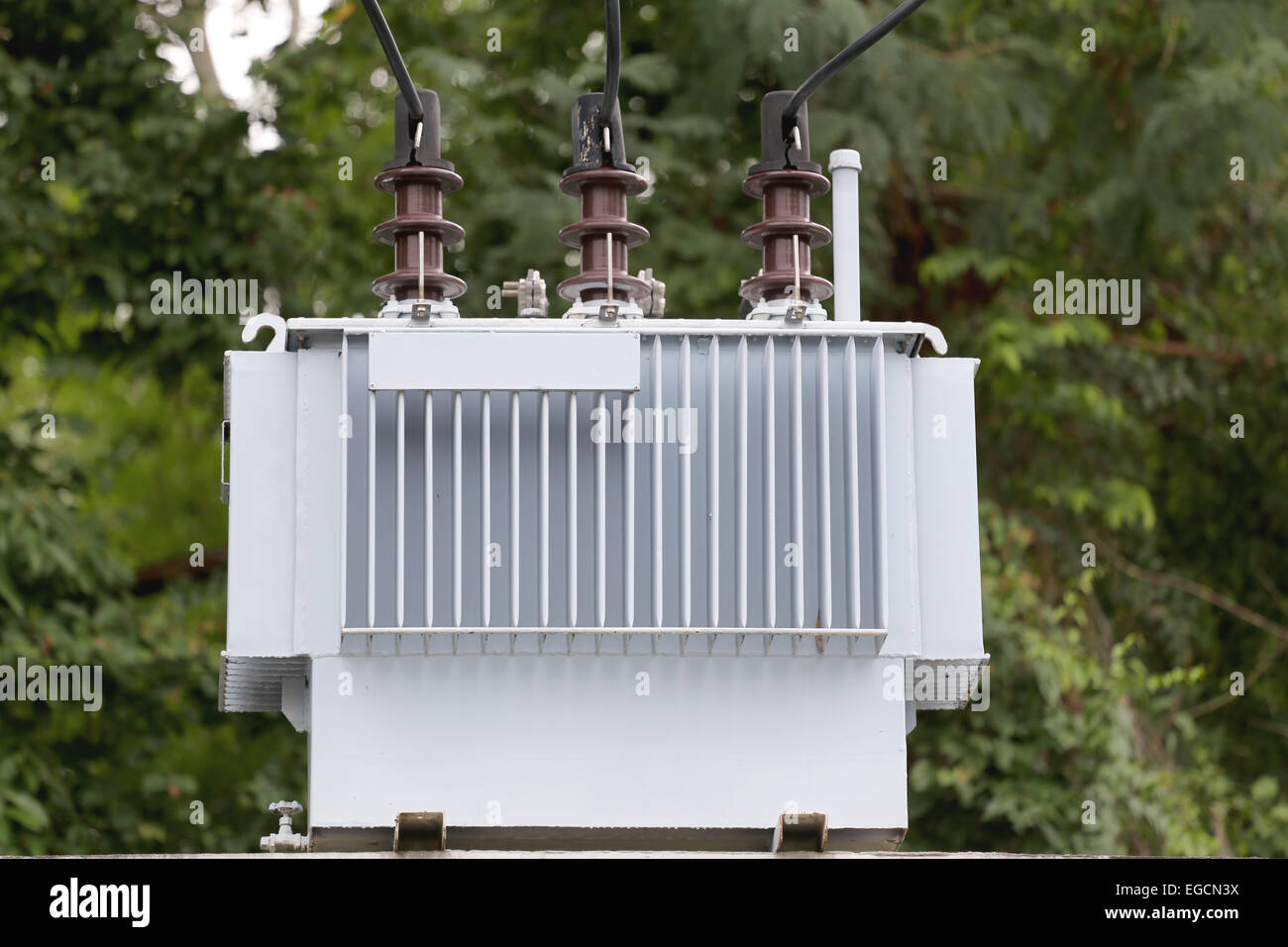 Transformator auf dem Baum Hintergrund. Stockfoto