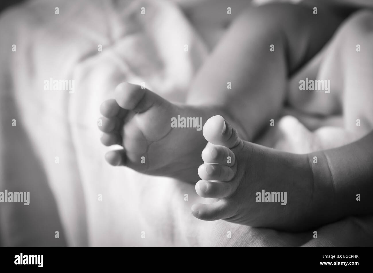Neugeborene Babys Füße Stockfoto