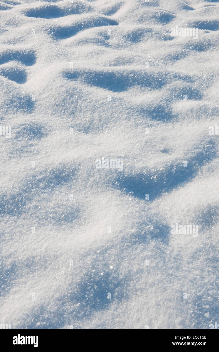 Schnee auf einer Wiese Stockfoto