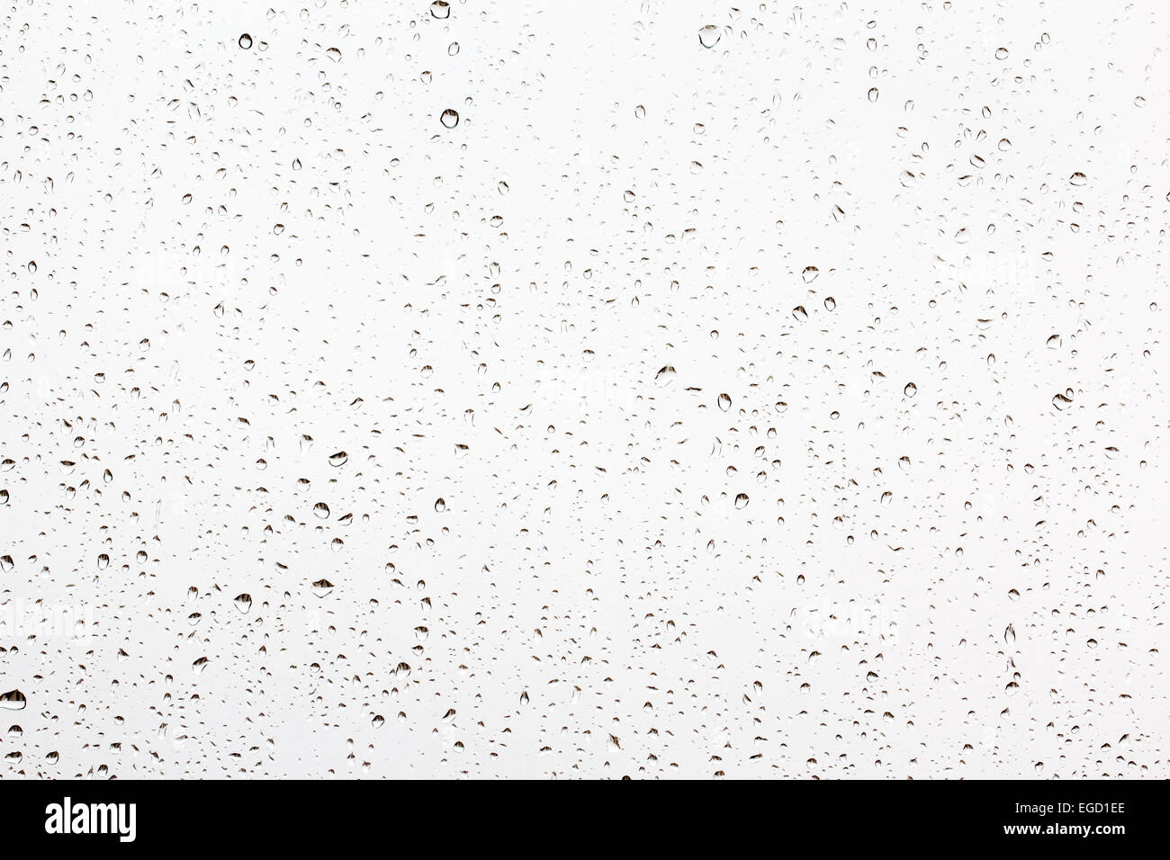 Regentropfen auf das Fensterglas Stockfoto