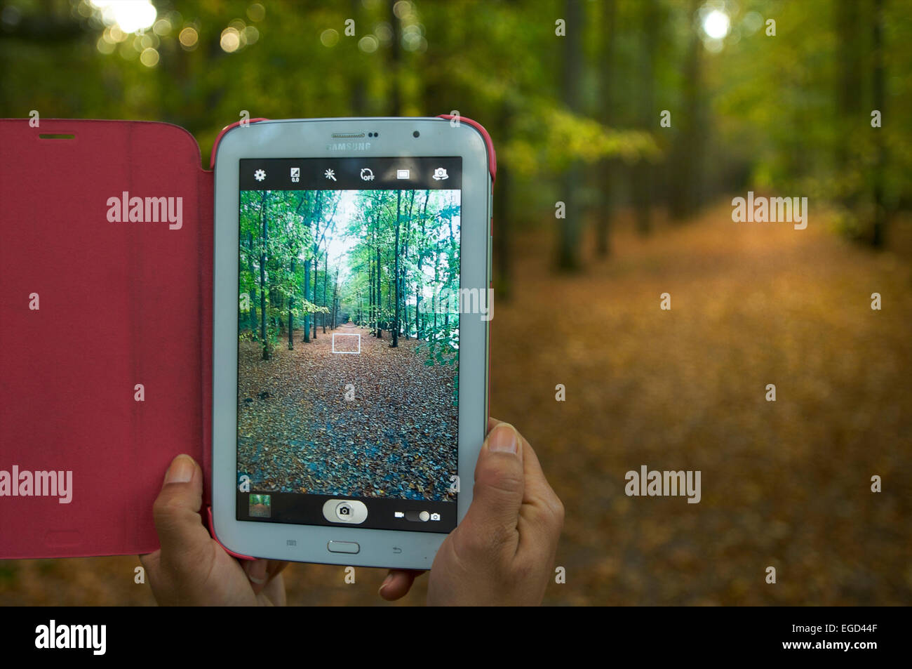 Frau in einem Wald mit einer Tablette, die Fotos mit dem Build in der Kamera Stockfoto