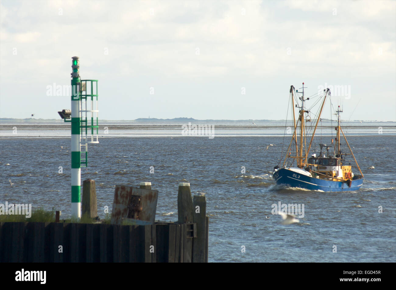 Angelboot/Fischerboot, die Rückkehr in den Hafen von Lauwersoog mit der Insel Schiermonnikoog in den Niederlanden in der Ferne Stockfoto