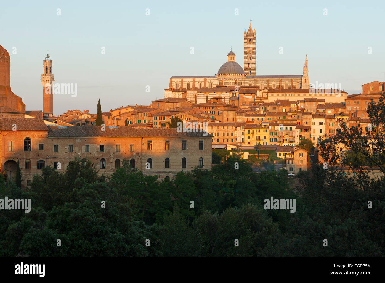Stadtbild mit Glockenturm Torre del Mangia, Rathaus und die Kathedrale Duomo Santa Maria, Siena, UNESCO-Weltkulturerbe, Toskana, Italien, Europa Stockfoto