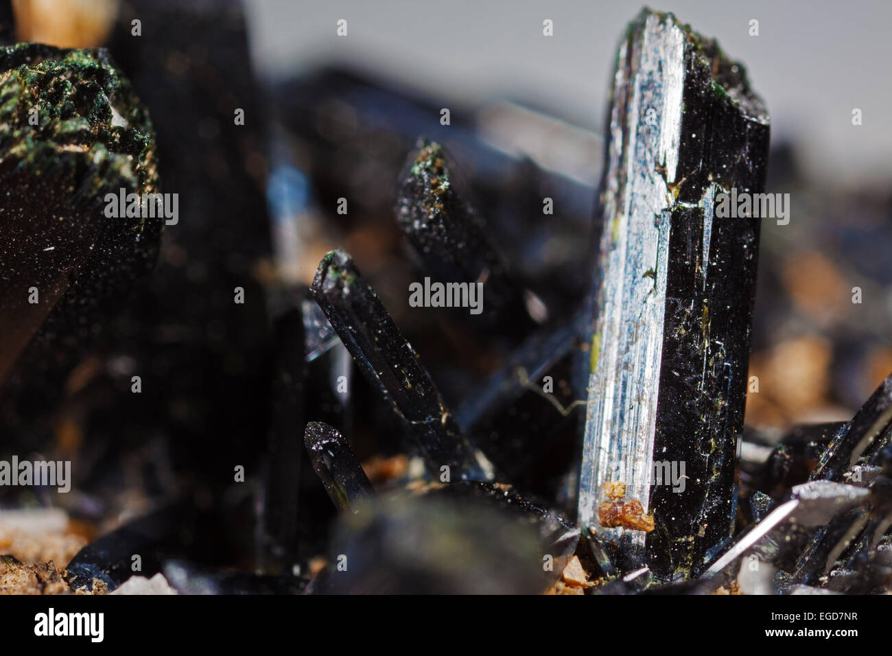 Turmalinkristalle in Makrofotografie Stockfoto