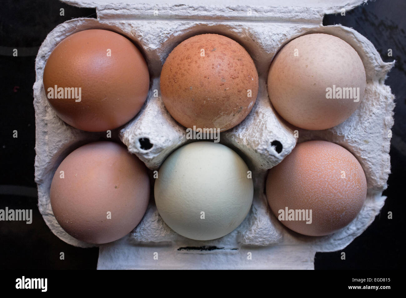 Eine Schachtel mit lokalen Freilandeier zeigt eine Vielzahl von Farben. Stockfoto