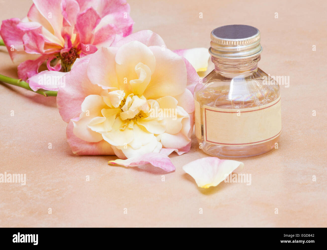 Rosa und gelbe Rosen und Rosenwasser Stockfoto