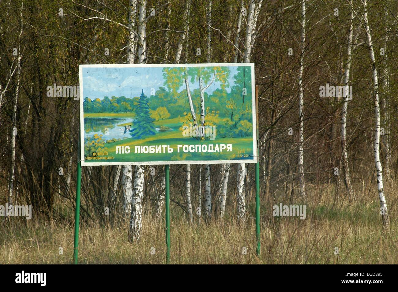 Vorfall von Tschernobyl, Wald innerhalb des eingeschränkten Zugangs kontaminierte Fläche von 30 Kilometern rund um den Ort der Katastrophe Stockfoto