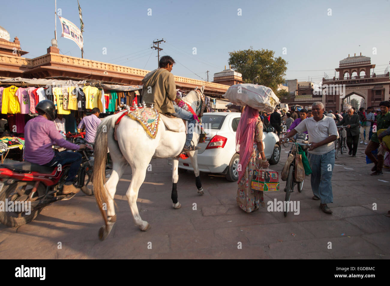 weißes Pferd in Jodhpur Stockfoto