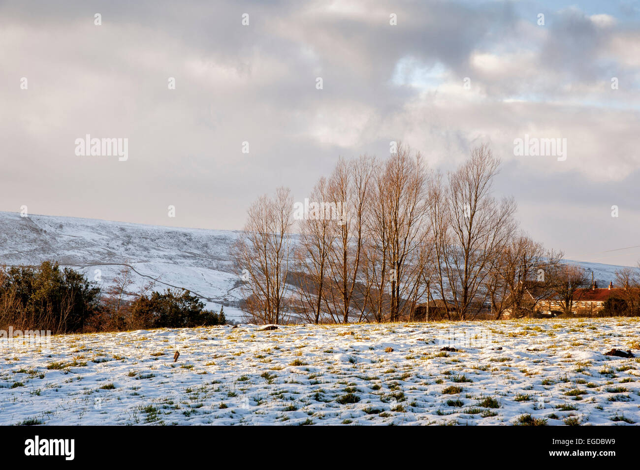 Eichel in der Nähe von Rosedale Abbey im winter Stockfoto